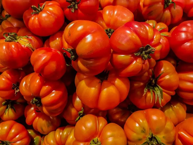CAMBIANO - Al via la terza edizione del Premio Costoluto d'Argilla