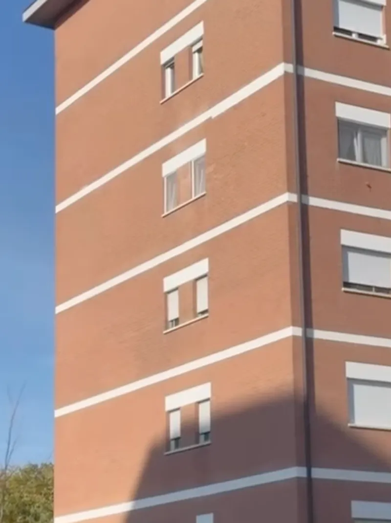 COLLEGNO - Sotto l'albero 100 nuovi alloggi popolari: l'annuncio di Atc e dell'assessore Marrone