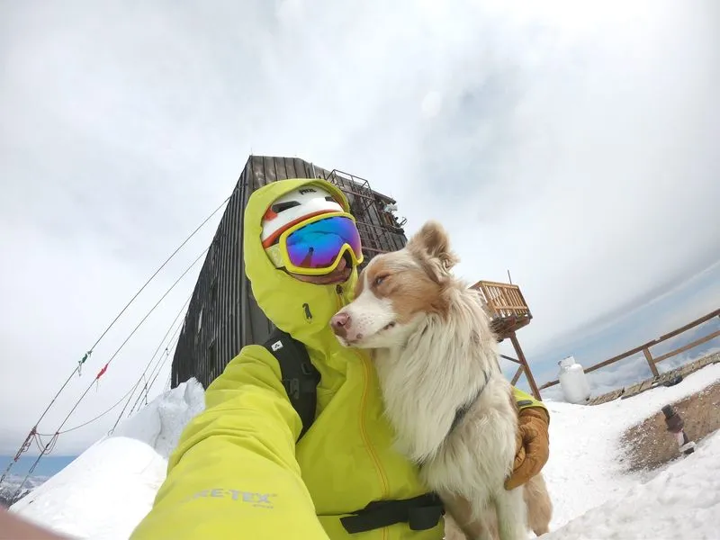 CASTELLAMONTE - «Io e Aiguille in cima al Monte Rosa»: l'avventura di Sandro Gallo Balma con il suo amico a quattro zampe