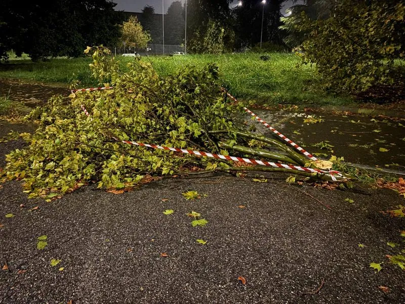 MALTEMPO A VENARIA - Tra alberi e cavi caduti, notte di duro lavoro per Vigili del Fuoco e tecnici comunali - FOTO