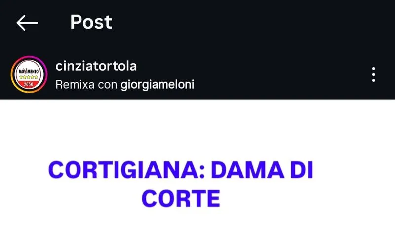 BORGARO - Il post della presidente della Consulta Donne «contro» la Meloni. Insorge Fratelli d'Italia: «si dimetta»