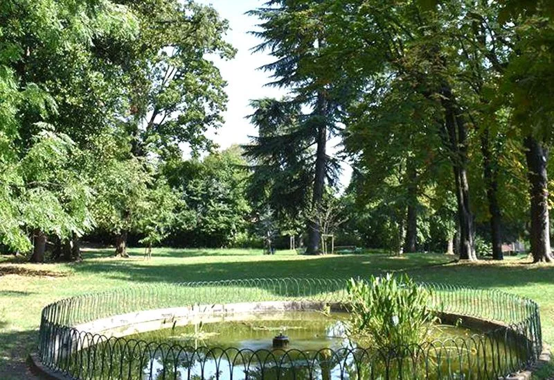 CALUSO - Addio ai due platani monumentali del parco Spurgazzi: giovedì saranno abbattuti per questioni di sicurezza