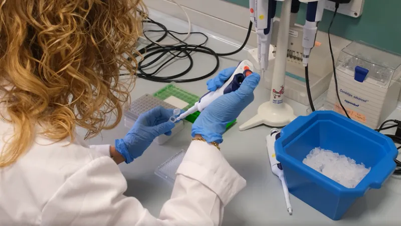 CANDIOLO - Un nuovo studio apre a nuove speranze contro una forma specifica di melanoma