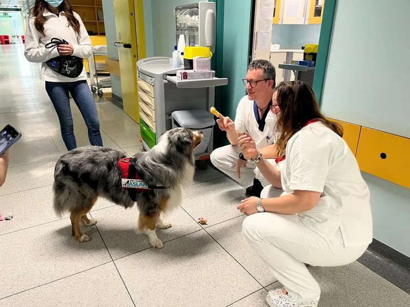 CANDIOLO - Pet therapy: con i dolci Woody e Leva migliora il benessere dei pazienti - FOTO