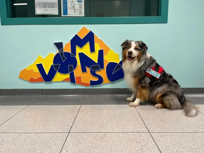 CANDIOLO - Pet therapy: con i dolci Woody e Leva migliora il benessere dei pazienti - FOTO