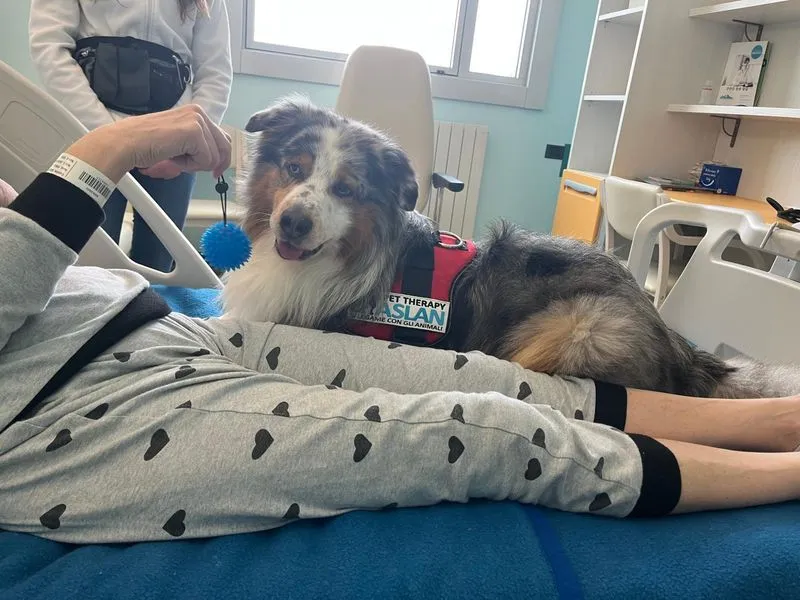 CANDIOLO - Pet therapy: con i dolci Woody e Leva migliora il benessere dei pazienti - FOTO