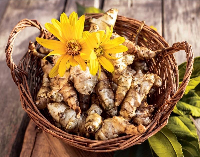 CARIGNANO - La 33a Fiera Regionale «Il Ciapinabò di Carignano» va in scena dal 9 all'11 ottobre