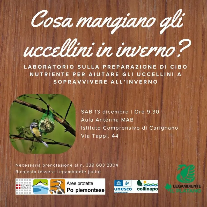 CARIGNANO - Laboratorio di Legambiente: «Cosa mangiano gli uccellini d’inverno?»