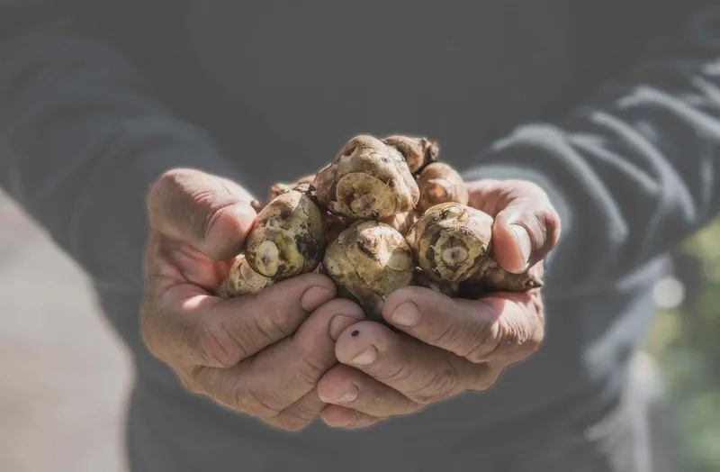 CARIGNANO - Sapori e tradizione alla «Sagra del Ciapinabò» - FOTO