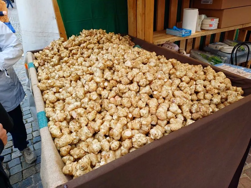 CARIGNANO - Sapori e tradizione alla «Sagra del Ciapinabò» - FOTO