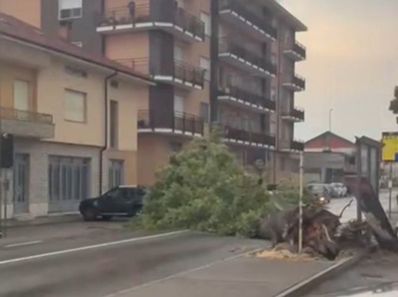 TORINO SUD - Violenti temporali, vento e alberi in strada: interventi dei vigili del fuoco a Cambiano, Nichelino e Carmagnola
