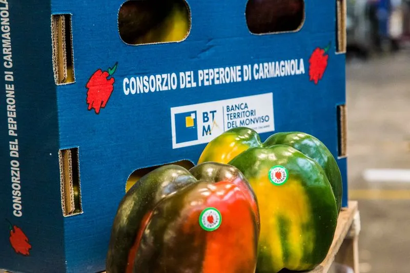 CARMAGNOLA - Inaugurata una vetrina del peperone al Centro Agro Alimentare di Torino - FOTO