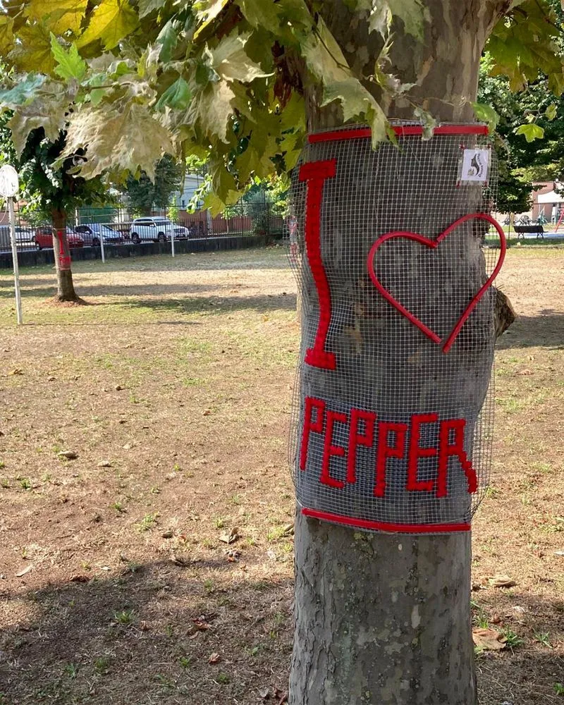 CARMAGNOLA - I materiali di riciclo diventano opere d'arte per un omaggio alla Fiera del Peperone - FOTO