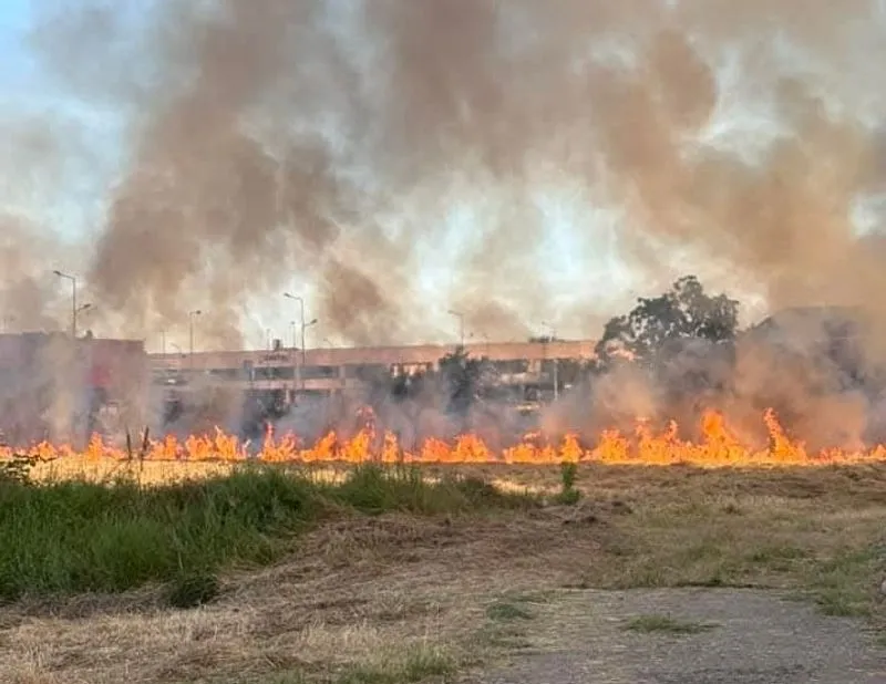 CARMAGNOLA - Incendio devasta campo agricolo in via Poirino: intervento dei vigili del fuoco - FOTO