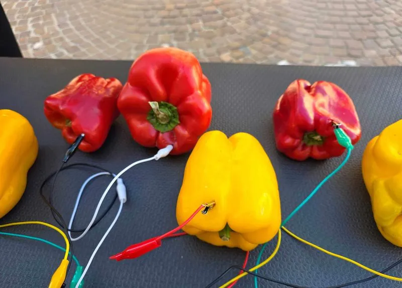 CARMAGNOLA - Record alla Fiera del Peperone: 350mila visitatori con un’affluenza in crescita del 25%