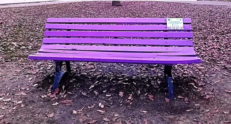 CARMAGNOLA - Una panchina viola per sensibilizzare sulla fibromialgia