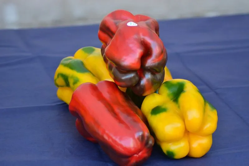 CARMAGNOLA - Peperoni da record alla 76esima Fiera nazionale - FOTO