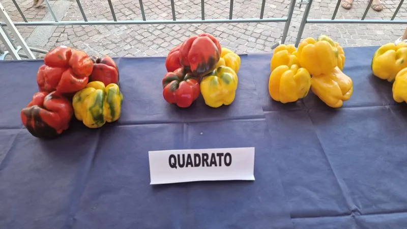 CARMAGNOLA - Peperoni da record alla 76esima Fiera nazionale - FOTO