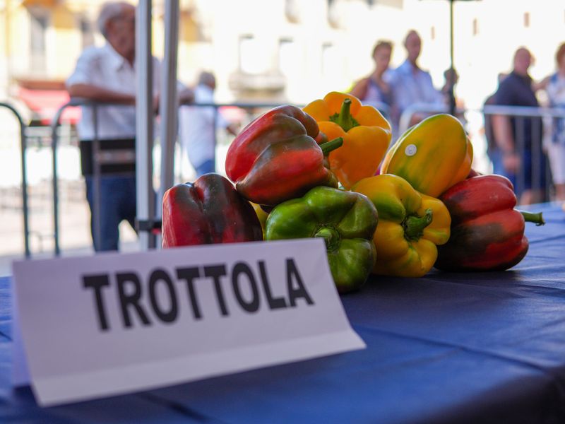 CARMAGNOLA - Peperoni da record alla 77esima Fiera nazionale - FOTO