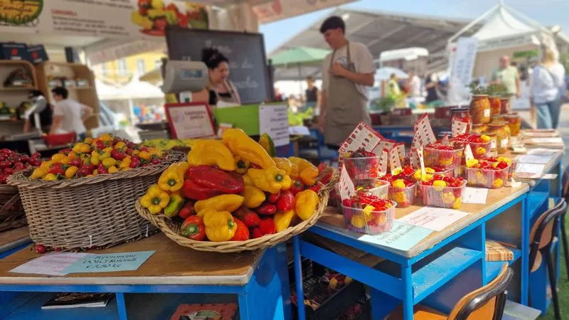 CARMAGNOLA - Così il peperone diventa (anche) uno strumento musicale
