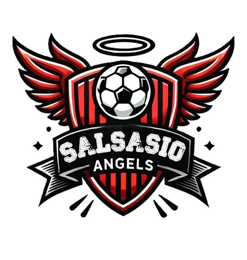 CARMAGNOLA - I Salsasio Angels sono pronti a scendere in campo