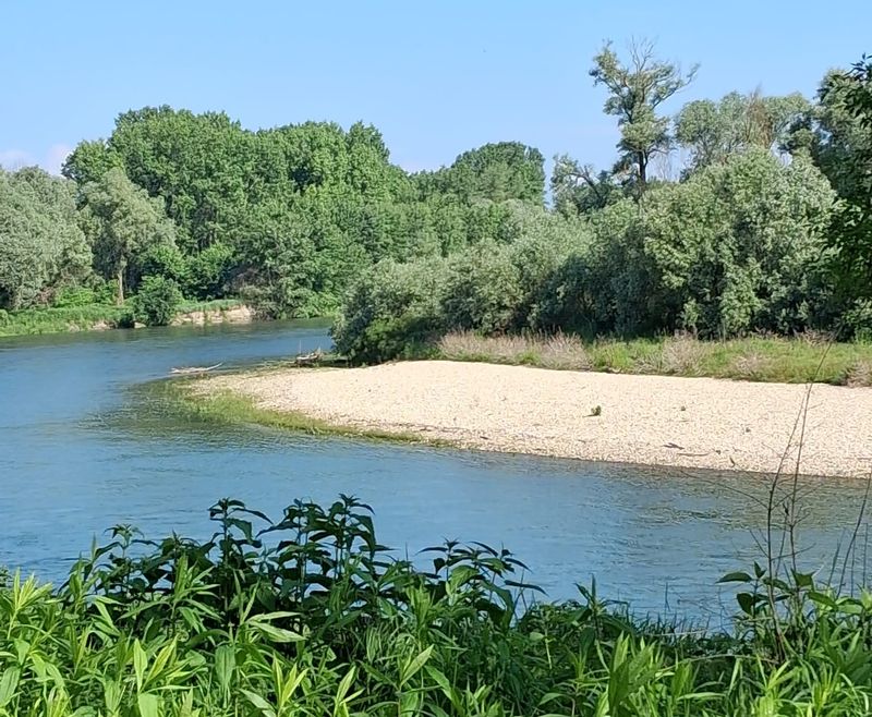 CARMAGNOLA - Sabato il «Sentiero Verde» esplora il bosco del Gerbasso