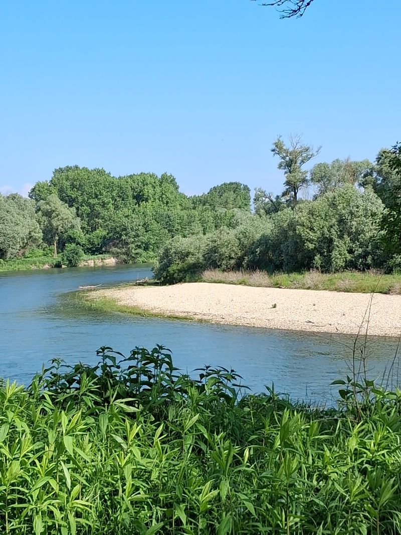 CARMAGNOLA - Sabato il «Sentiero Verde» esplora il bosco del Gerbasso