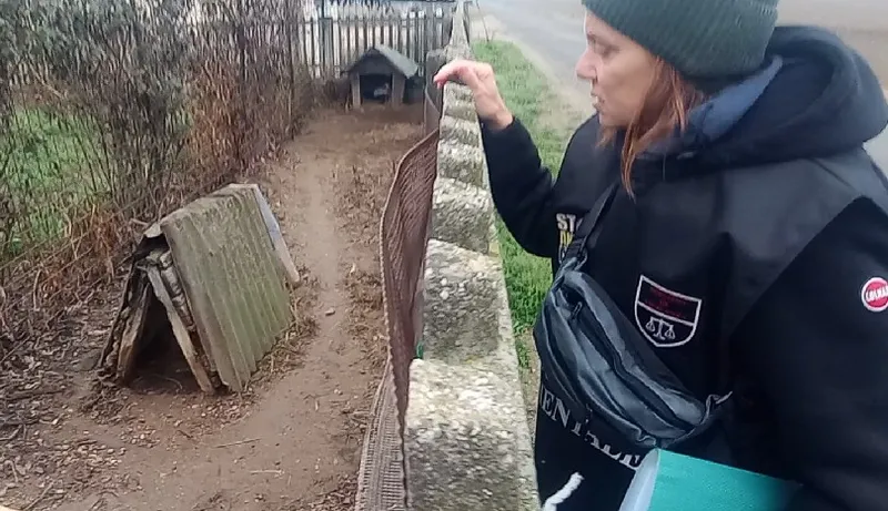 CARMAGNOLA - Controlli sulla detenzione dei cani: in azione le guardie zoofile di «Stop Animal Crimes Italia»