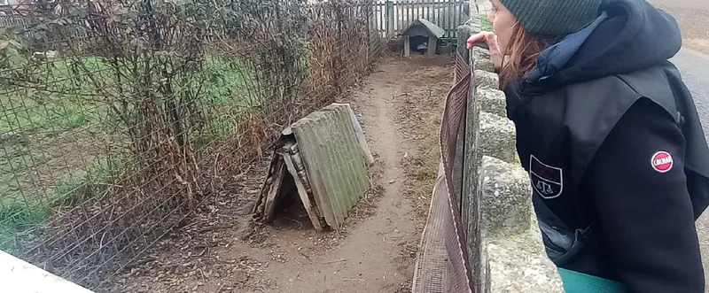 CARMAGNOLA - Controlli sulla detenzione dei cani: in azione le guardie zoofile di «Stop Animal Crimes Italia»