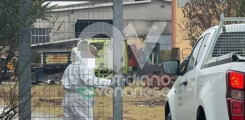 CASELLE - Omicidio Cat Berro: trovate morte una quindicina di capre nella stalla - FOTO