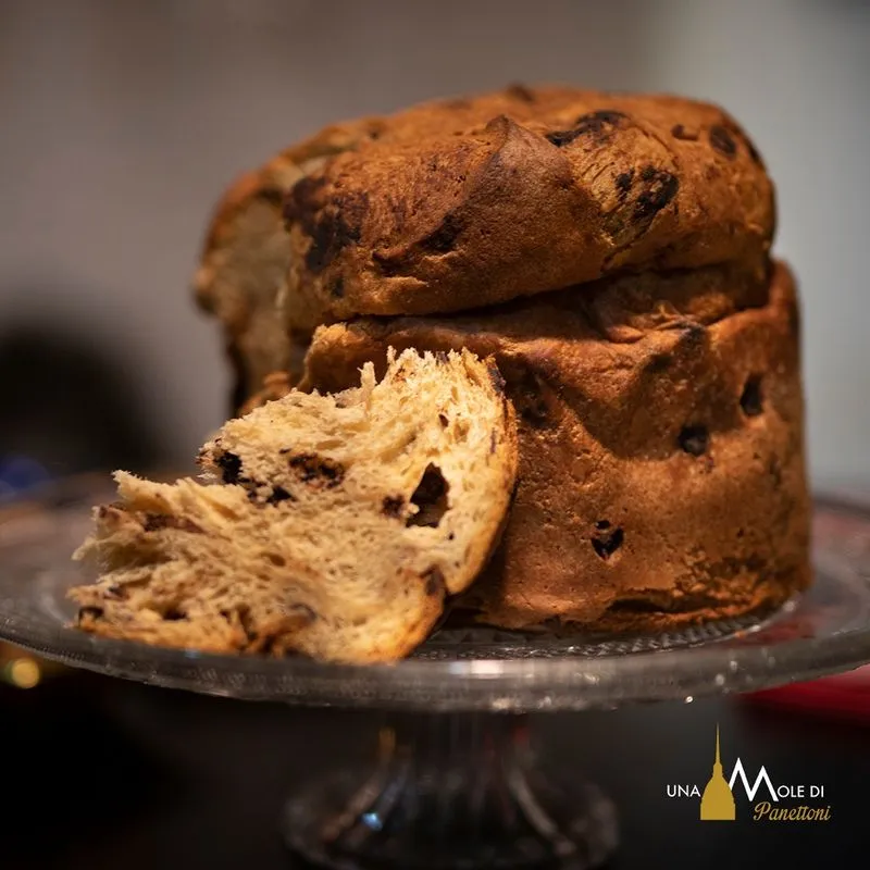 COLLEGNO-CASELLE - Torna «Una Mole di Panettoni»: protagonisti i maestri Marco Voci e Giuseppe Di Maggio - FOTO