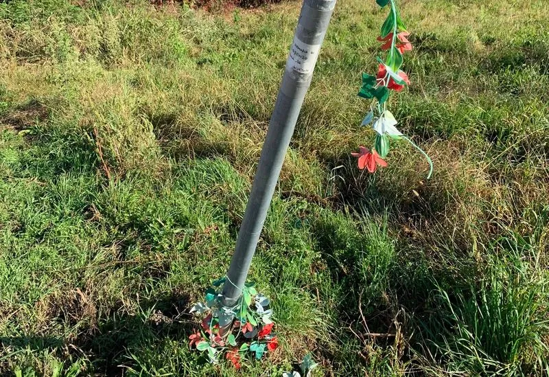 CASELLE - Vandali senza vergogna: strappano i fiori di un 16enne morto in un incidente e vandalizzano un cartello stradale