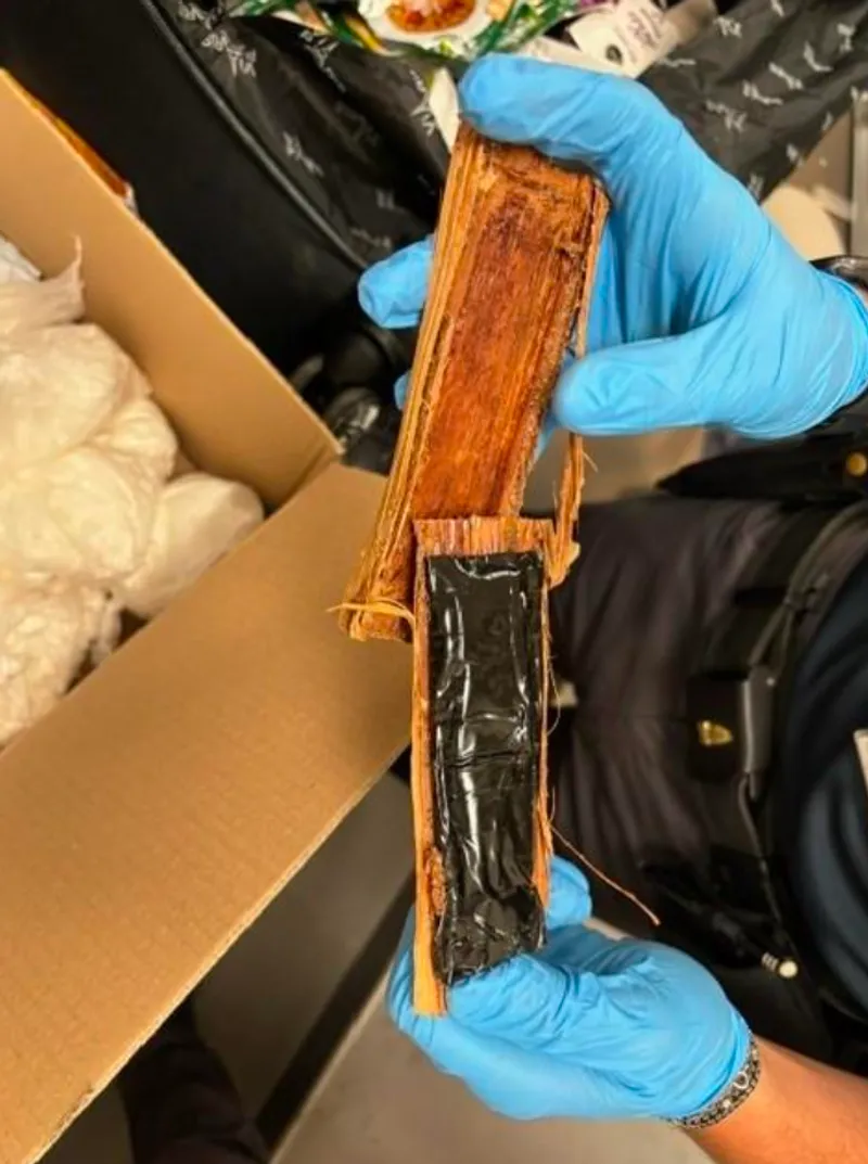 TORINO-CASELLE - 16 chili di droga nascosti in una valigia e in alcune borse: donna arrestata - FOTO E VIDEO