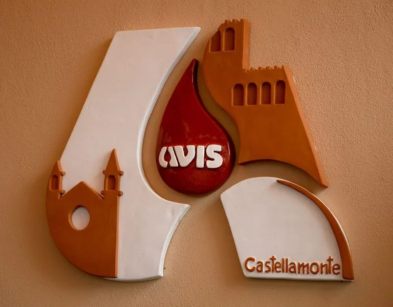 CASTELLAMONTE - Rinnovato il direttivo dell'Avis: Boggio confermato presidente