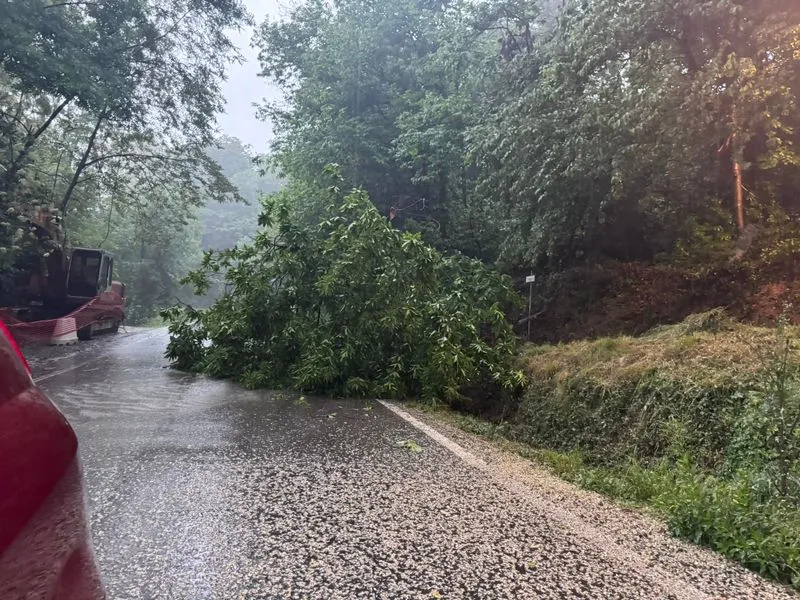 CANAVESE - Allerta gialla per pioggia, alberi giù a Castellamonte e tra Cuorgnè e Prascorsano