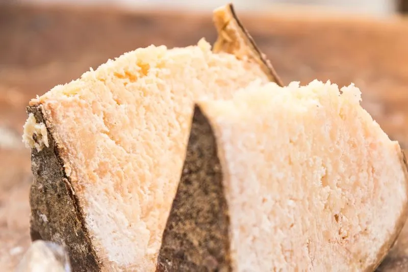 FOOD – Le ricette estive a base di formaggi di Slow Food