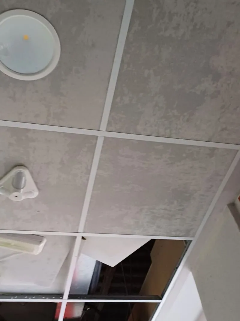 VANDALI A COLLEGNO - Devastata Villa 6: l'inaugurazione era prevista ad agosto - FOTO