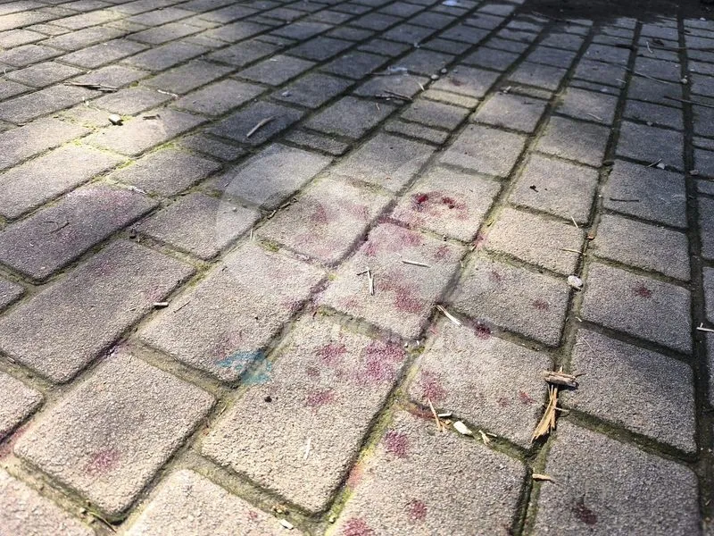 CUORGNE' - Botte tra ragazzini prima di entrare a scuola: minorenne ferito al volto finisce in ospedale - FOTO