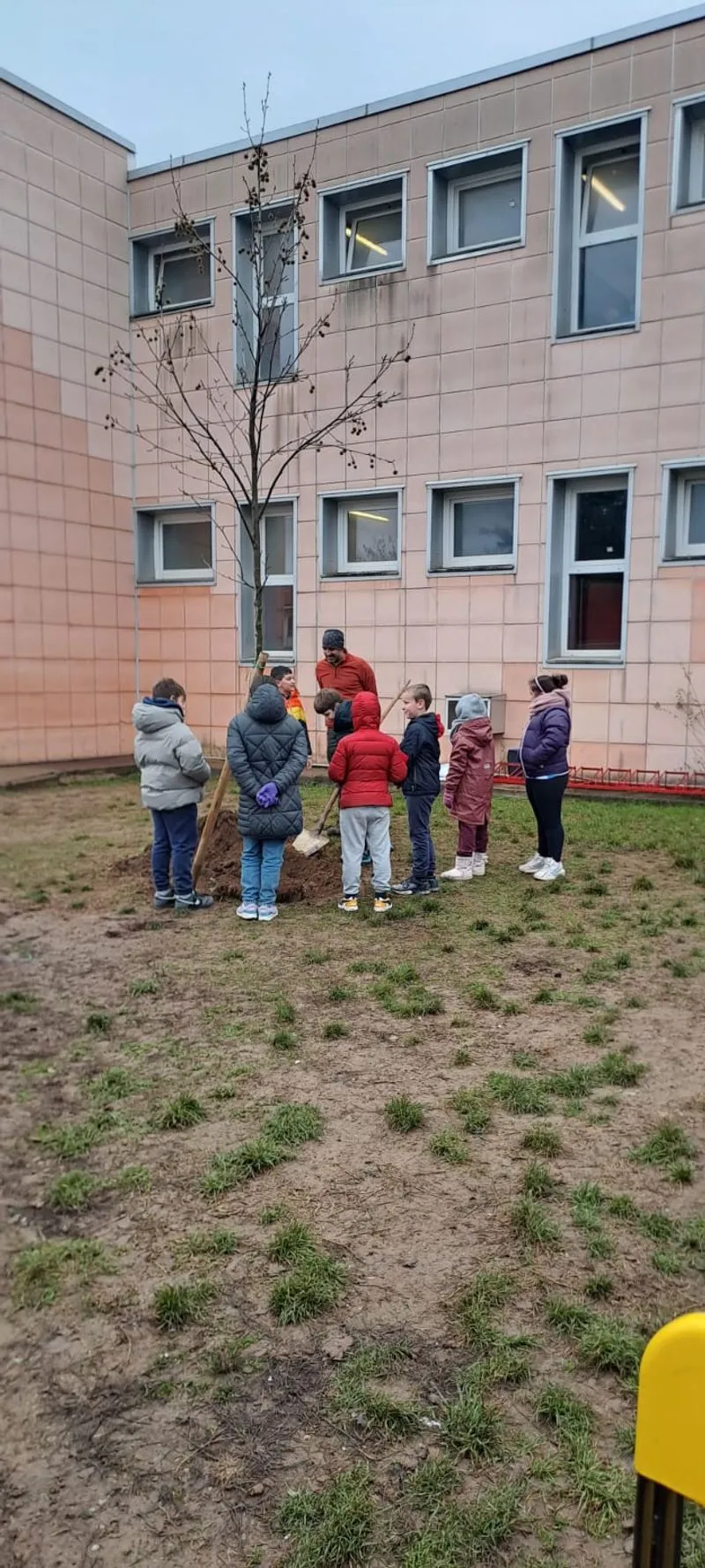 DRUENTO - Alla «Anna Frank» un nuovo albero per la «Giornata Internazionale delle Persone con Disabilità» - FOTO