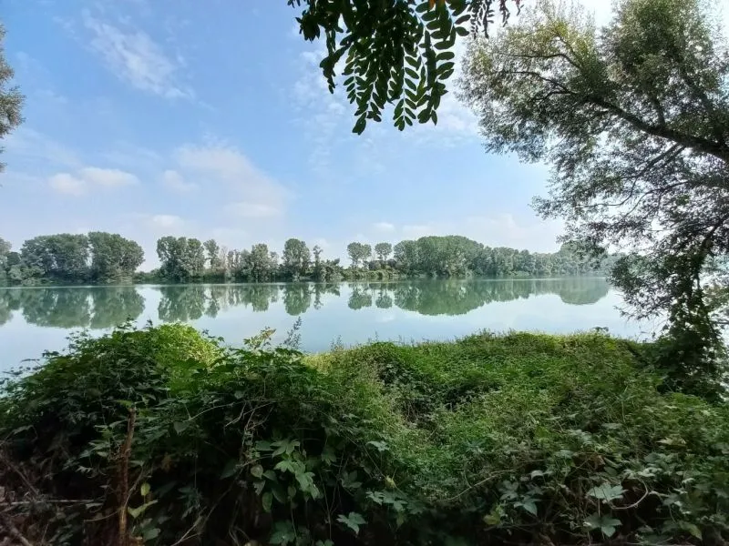 TORINO SUD - Parco del Po, Pentenero e Paonessa all'attacco: «Scelta insensata mettere un cacciatore come presidente»
