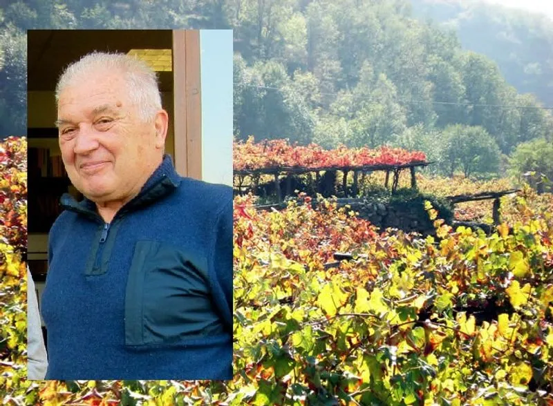 IVREA - Addio a Luigi Ferrando, appassionato vignaiolo e lungimirante imprenditore
