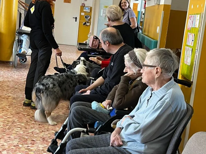 LEINI - Incontri di pet therapy per gli anziani ospiti del Capirone - FOTO