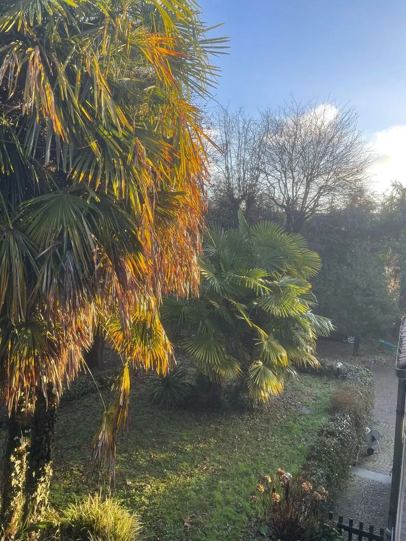 LEINI' - Villa Roveglia, un luogo speciale dove gli anziani si sentono come a casa e in famiglia - FOTO