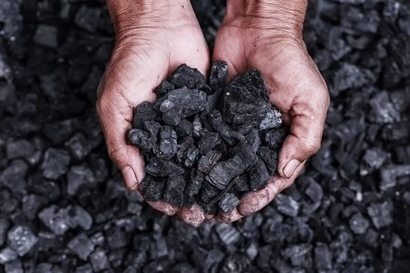 TORINO SUD - Biochar e cambiamenti climatici, è scontro in Regione: Pompeo attacca la giunta