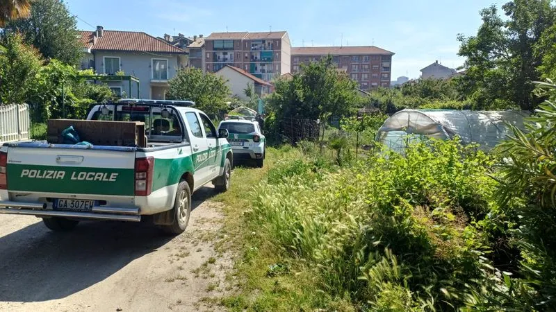 MONCALIERI - Femmina di capriolo recuperata negli orti urbani e liberata nei boschi di Trofarello - FOTO