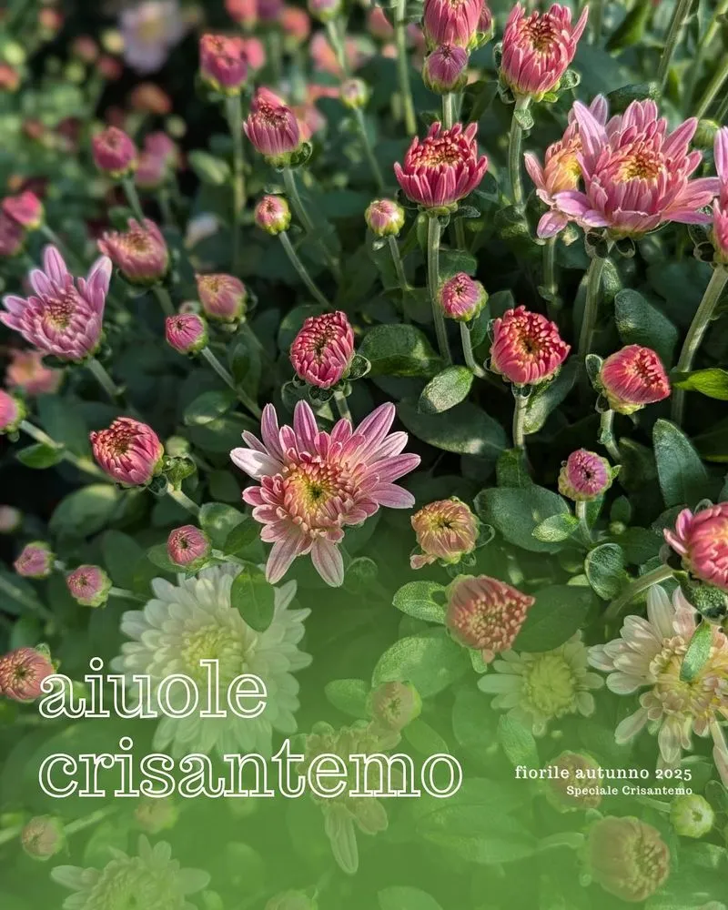 MONCALIERI - Al castello torna «Fiorile-Orti & Fiori in mostra» - FOTO