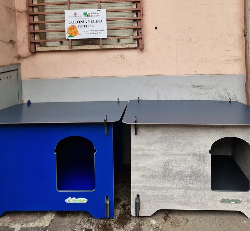 MONCALIERI - Piena tutela per le colonie feline: installate 18 nuove casette per i mici