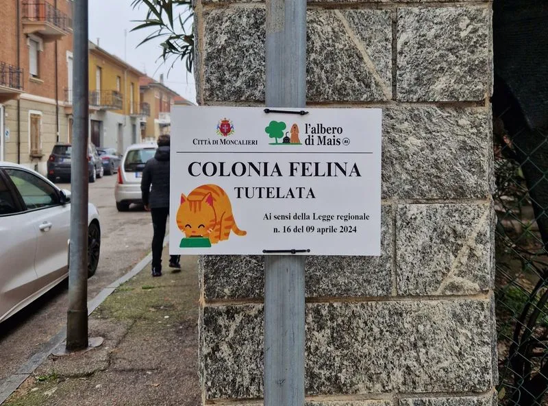 MONCALIERI - Piena tutela per le colonie feline: installate 18 nuove casette per i mici