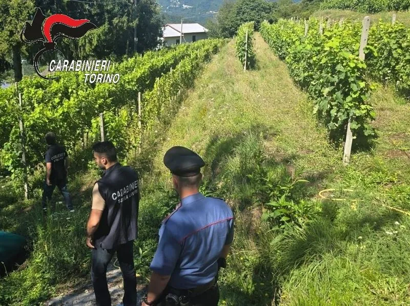 TORINO - Raffica di controlli dei carabinieri per contrastare il caporalato nell'agricoltura - FOTO