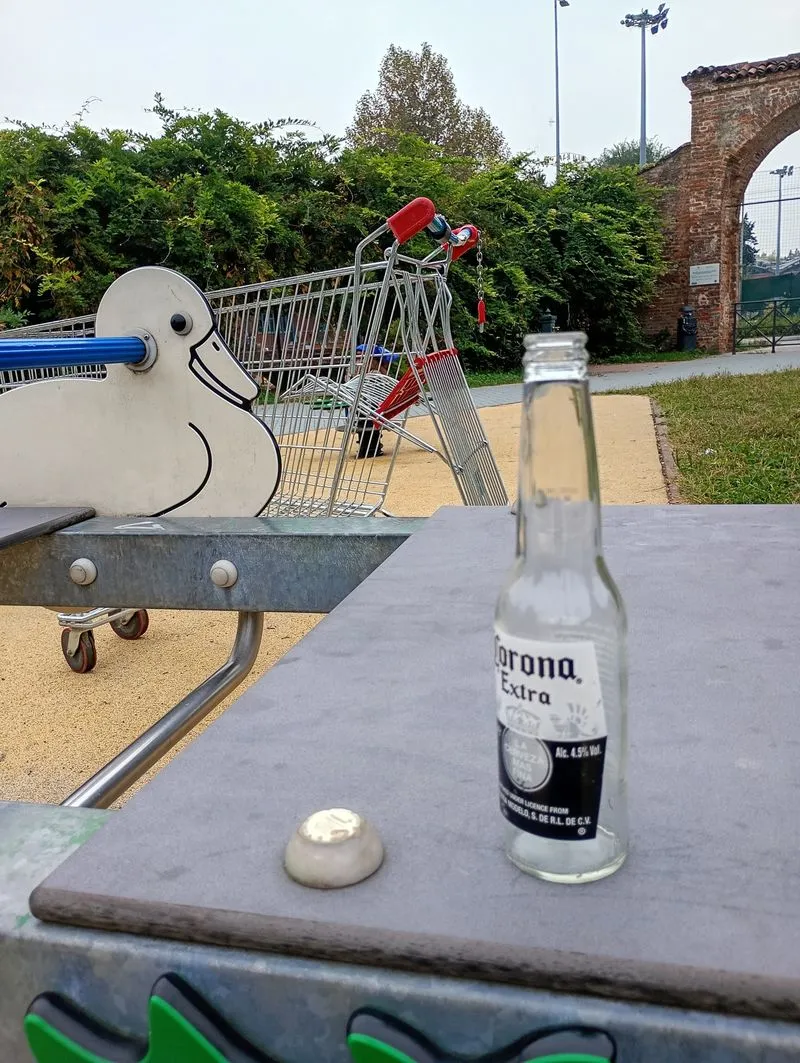 MONCALIERI - Vetri rotti, bottiglie vuote e persino un carrello della spesa: vandalizzato il Giardino della luna - FOTO